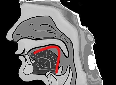 Side view showing the tongue position represented by the Hangul letter giyeok